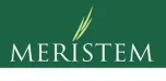 meristem